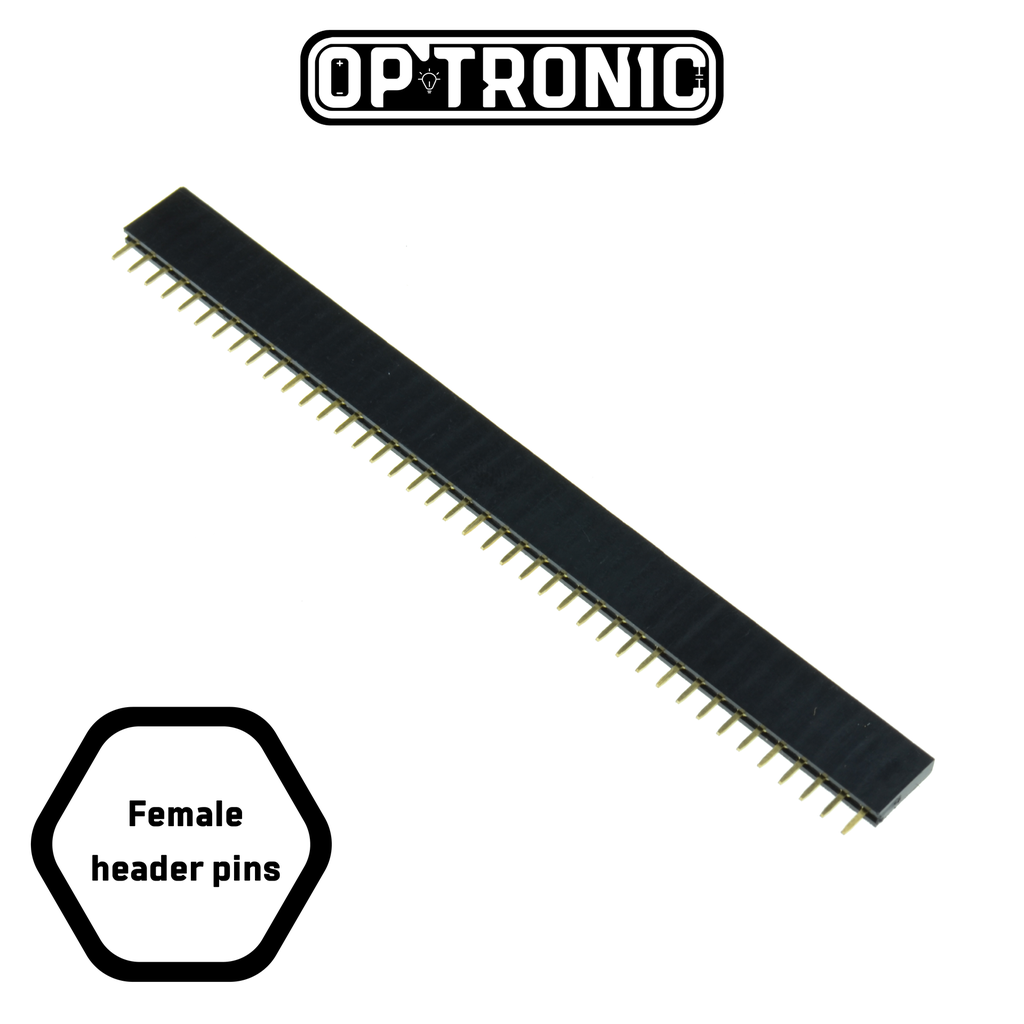 Pin Header Female (2.54mm) 1X40 Straight